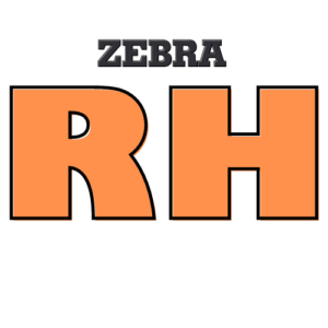 Busch vòng dầu 2 cấp loại ZEBRA RH